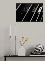 look into the railing Poster och Canvastavla