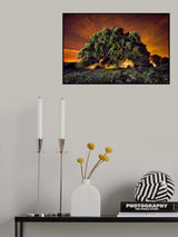 The Ilex Poster och Canvastavla