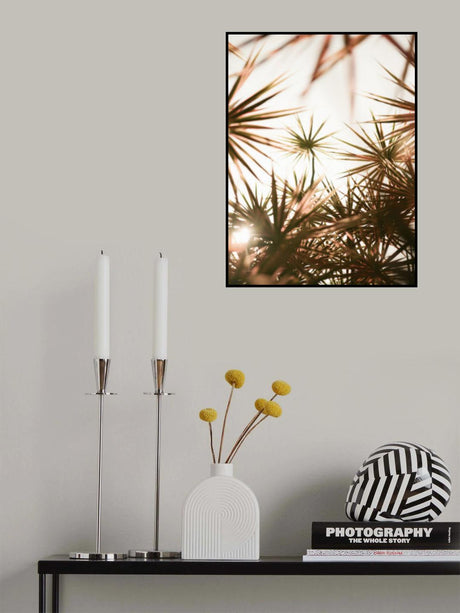 Starlight Poster och Canvastavla