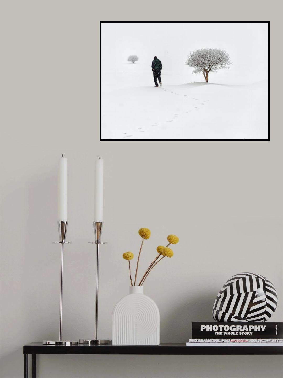 lone on snow Poster och Canvastavla
