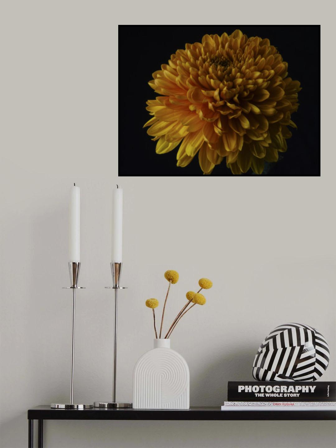 macro shot of a beautiful yellow flower Poster och Canvastavla