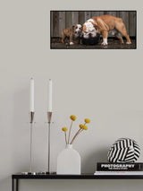 Big bro is helping Poster och Canvastavla