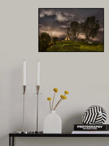 Wisdom grows in quiet places Poster och Canvastavla