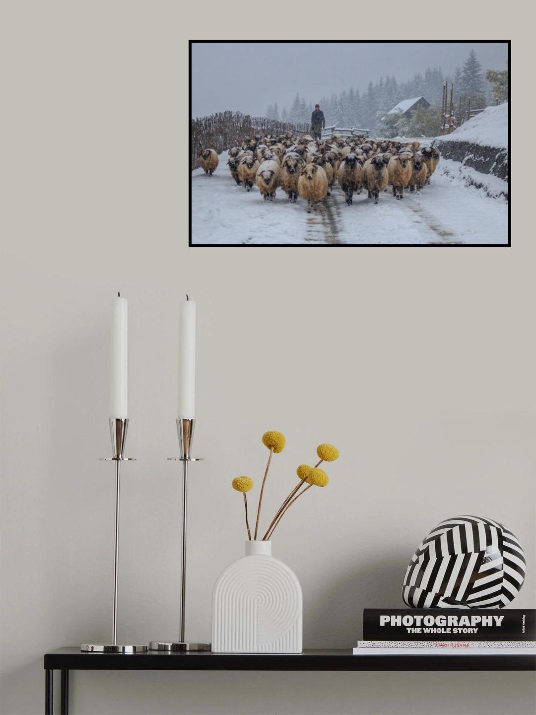 Poster och Canvastavla