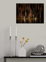 Creatures of Caddo Lake Poster och Canvastavla