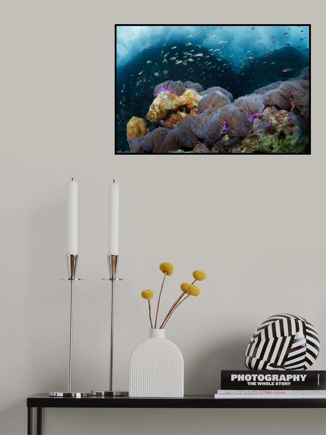 Surf Poster och Canvastavla