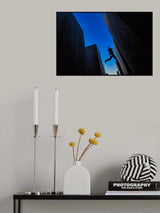 The leap Poster och Canvastavla