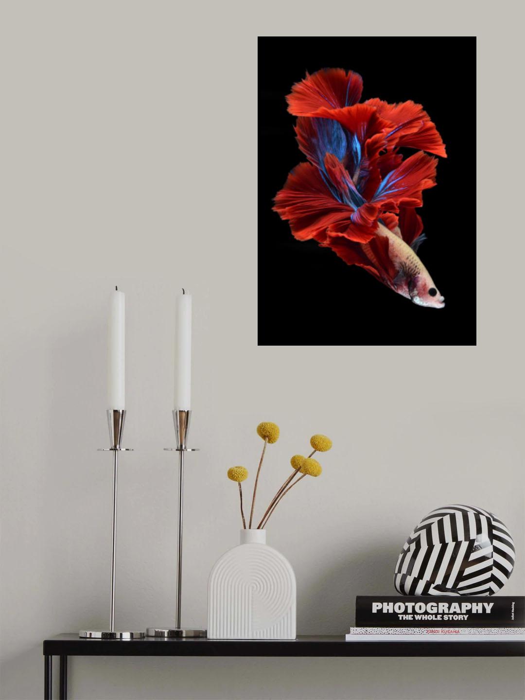 Like a flower of bettafish Poster och Canvastavla