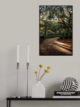 Oaks in Savannah Poster och Canvastavla