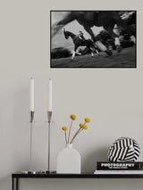 Dresure 2 Poster och Canvastavla