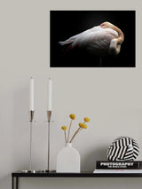 Velvet Poster och Canvastavla