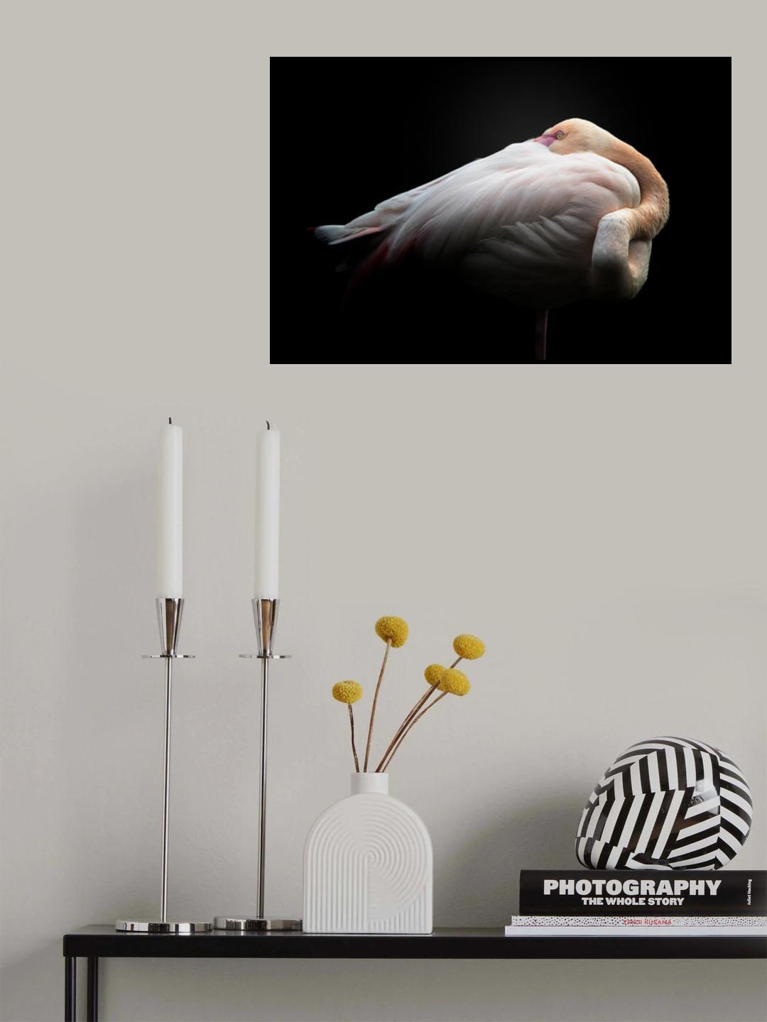 Velvet Poster och Canvastavla