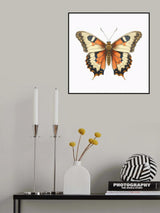 Butterfly 43 Poster och Canvastavla