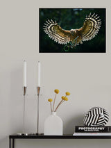 an owl and green snake Poster och Canvastavla