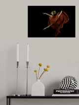 flying dancer Poster och Canvastavla