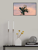 Oriental Darter feeding Juveniles Poster och Canvastavla