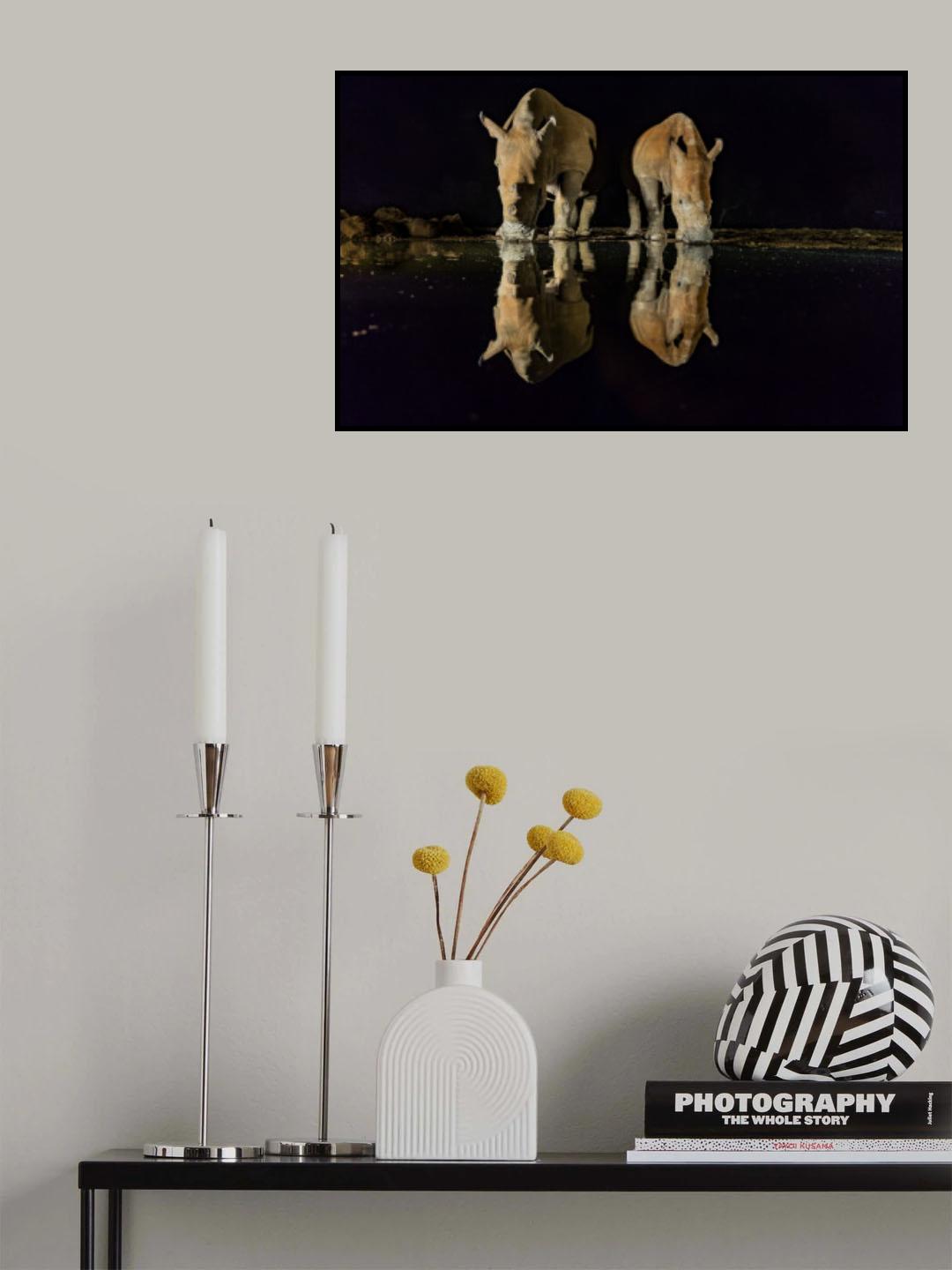 White Rhinos Poster och Canvastavla