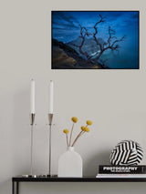 Blue hour in Ijen Crater - Banyuwangi Poster och Canvastavla