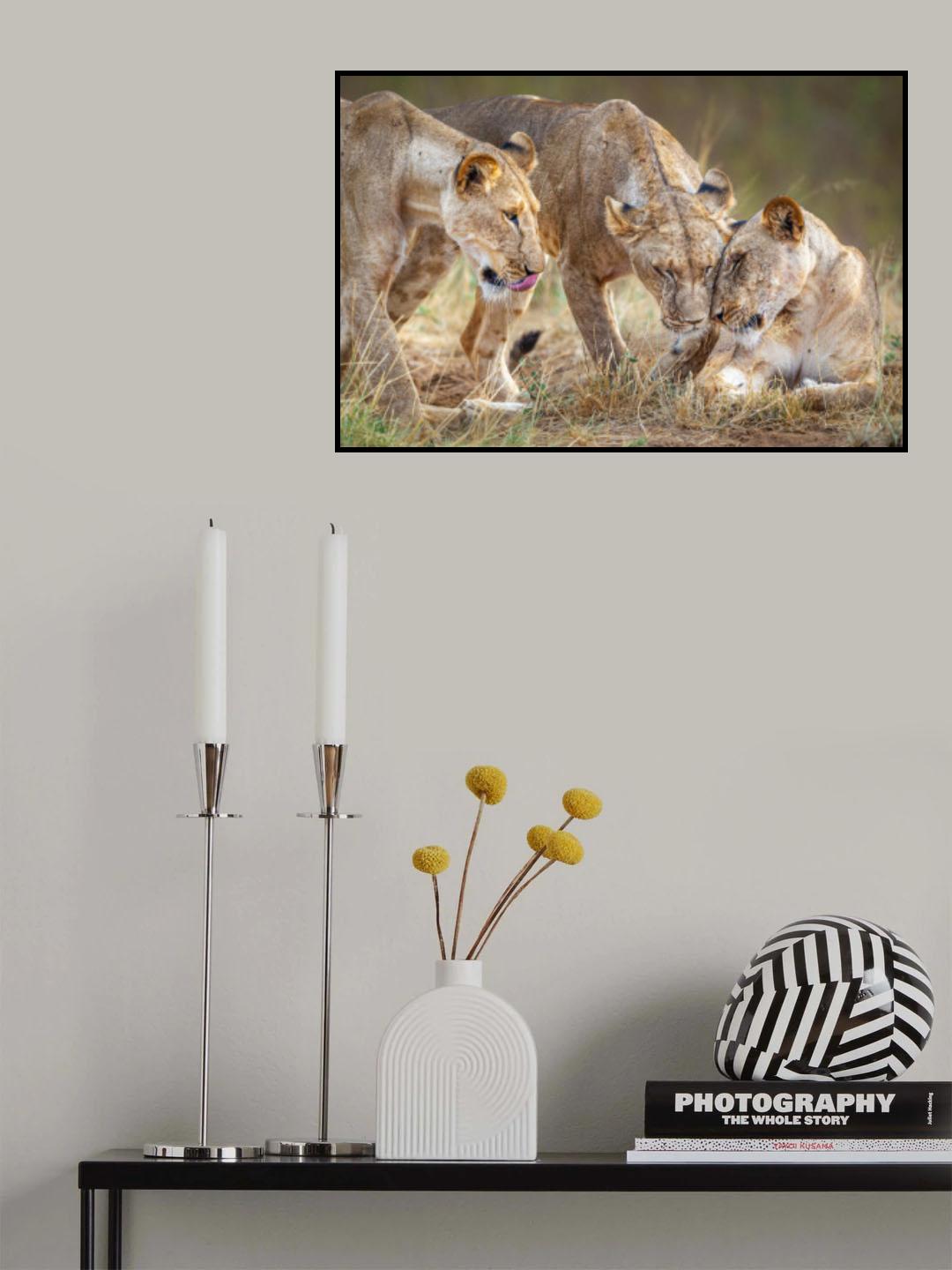 The power of sisters Poster och Canvastavla