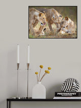 The power of sisters Poster och Canvastavla