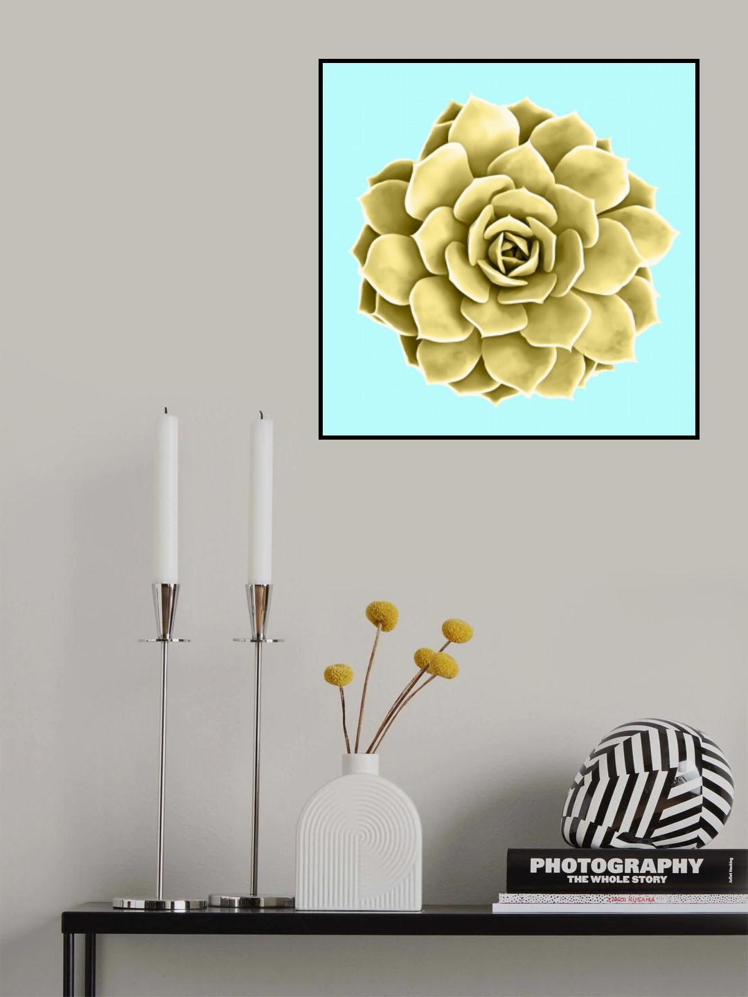 Yellow Succulents on Teal Poster och Canvastavla