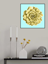 Yellow Succulents on Teal Poster och Canvastavla