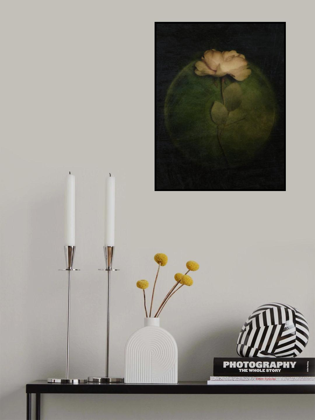 Evermore Poster och Canvastavla
