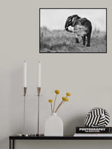 Love Dirt Poster och Canvastavla