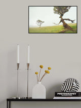Come back my darling Poster och Canvastavla