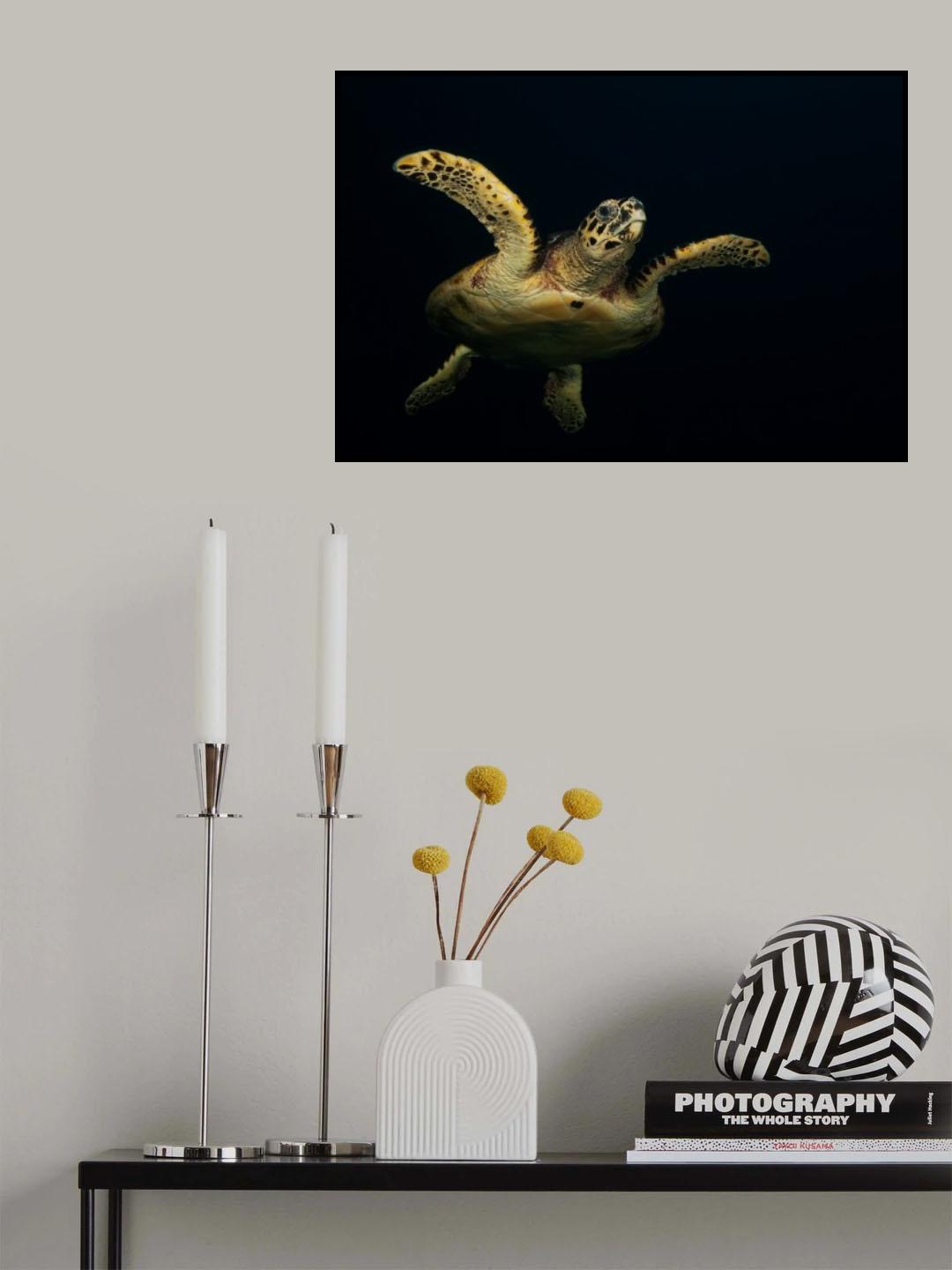 Flying Poster och Canvastavla