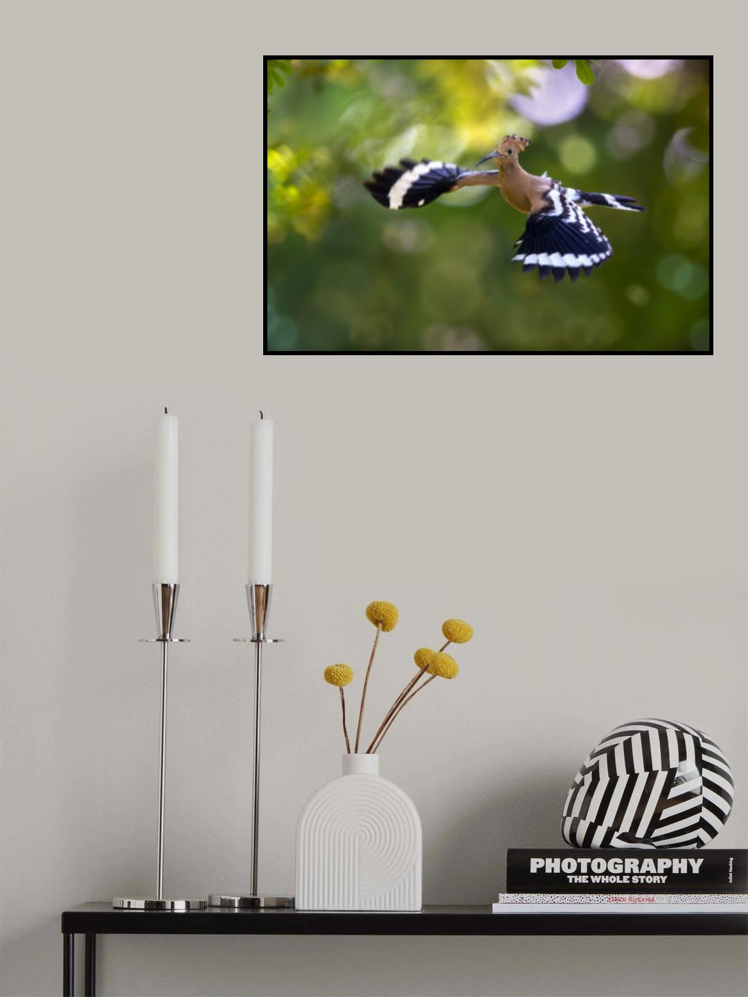 Frontal Poster och Canvastavla
