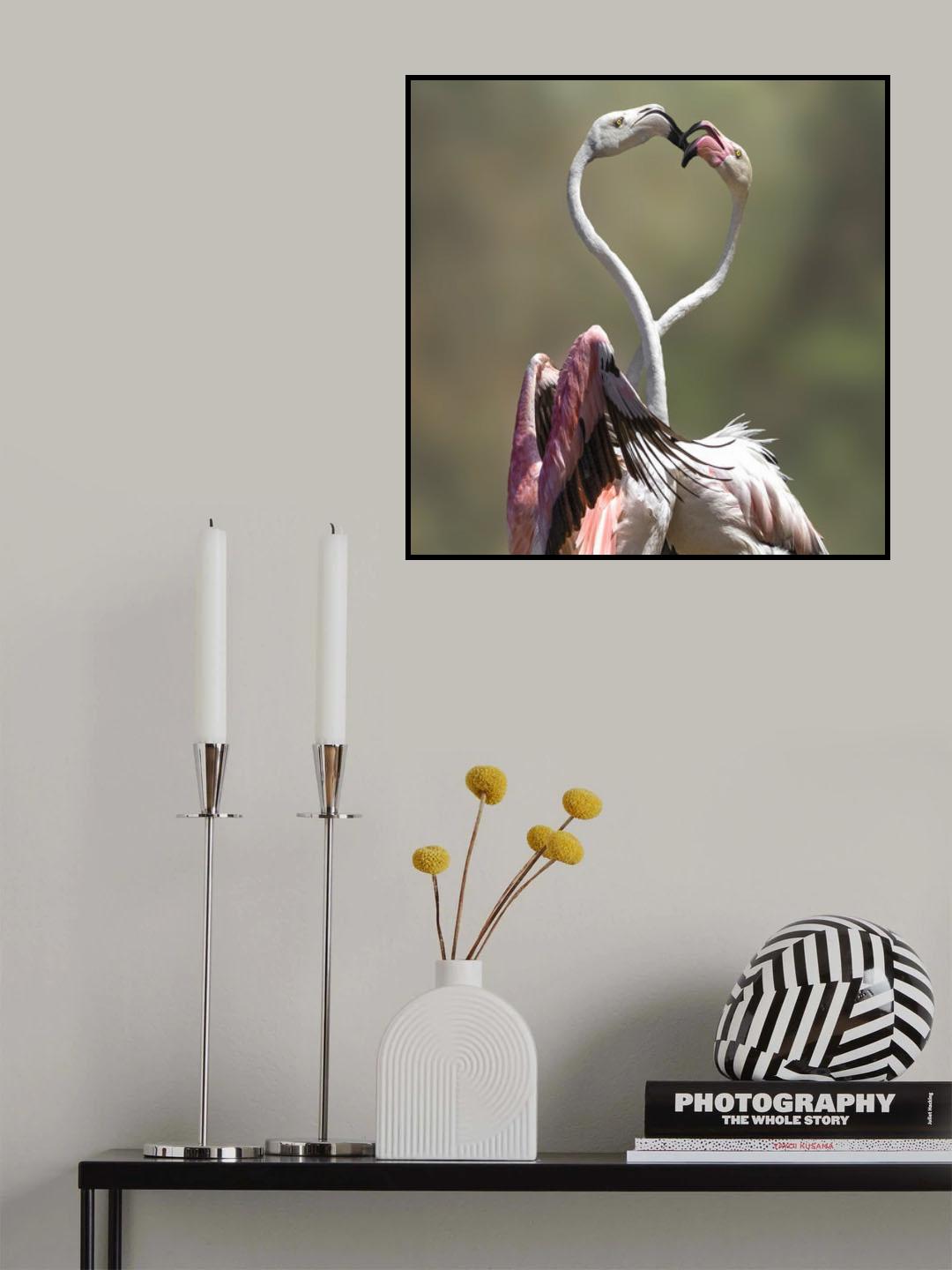 love Poster och Canvastavla