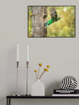 Hunting for babies Poster och Canvastavla