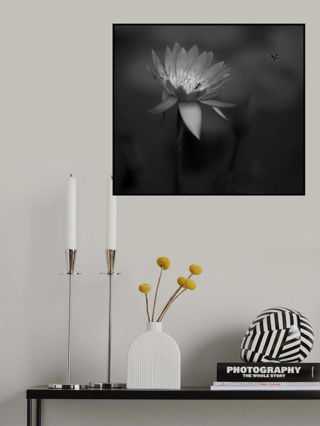 Lotus Poster och Canvastavla