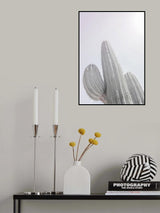Saguaro Gk 09 Poster och Canvastavla