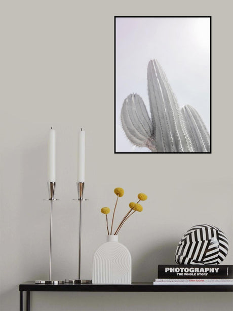 Saguaro Gk 09 Poster och Canvastavla
