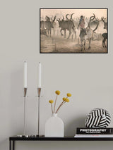 Herder in the midst Poster och Canvastavla
