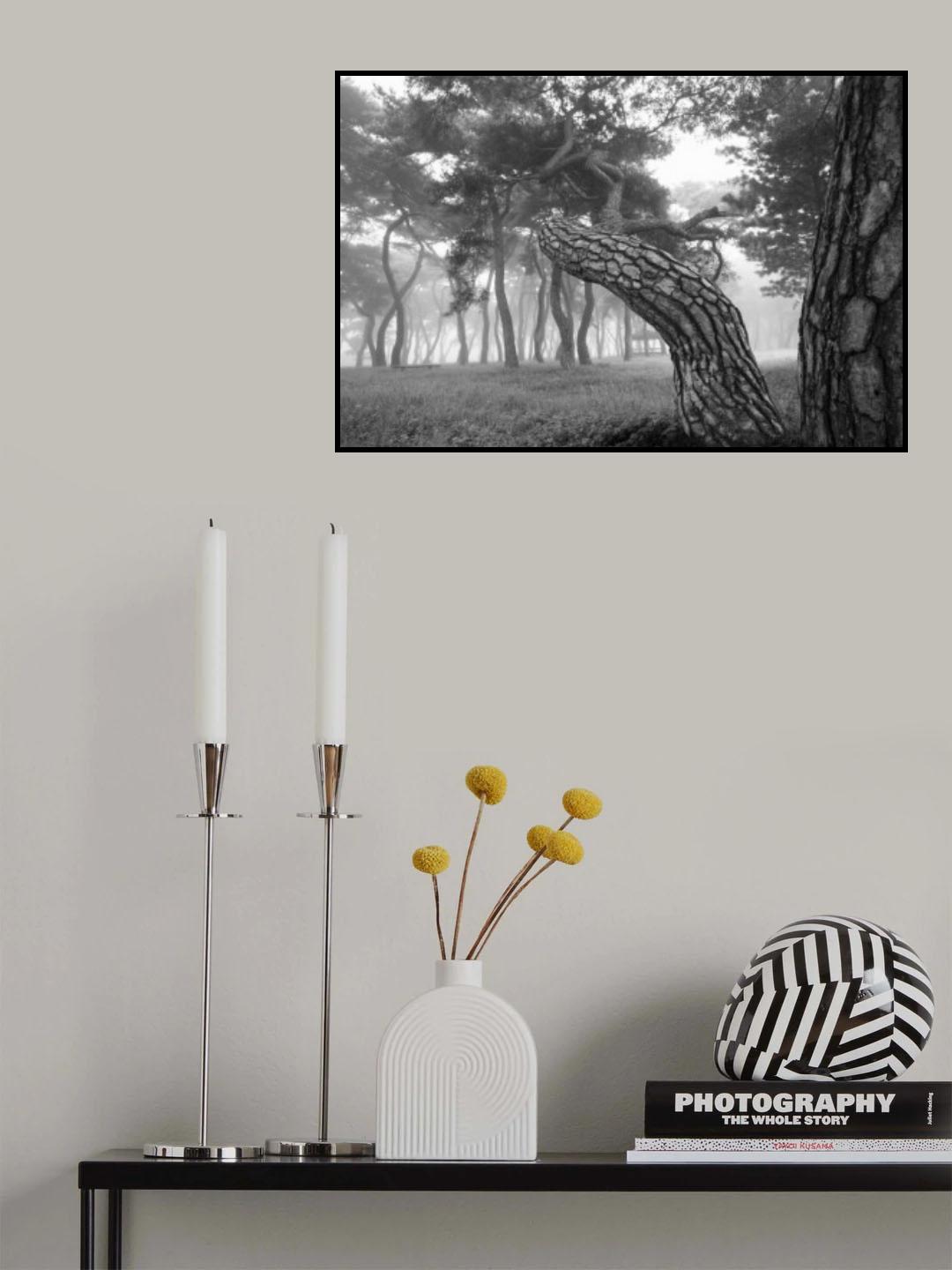 pine Poster och Canvastavla