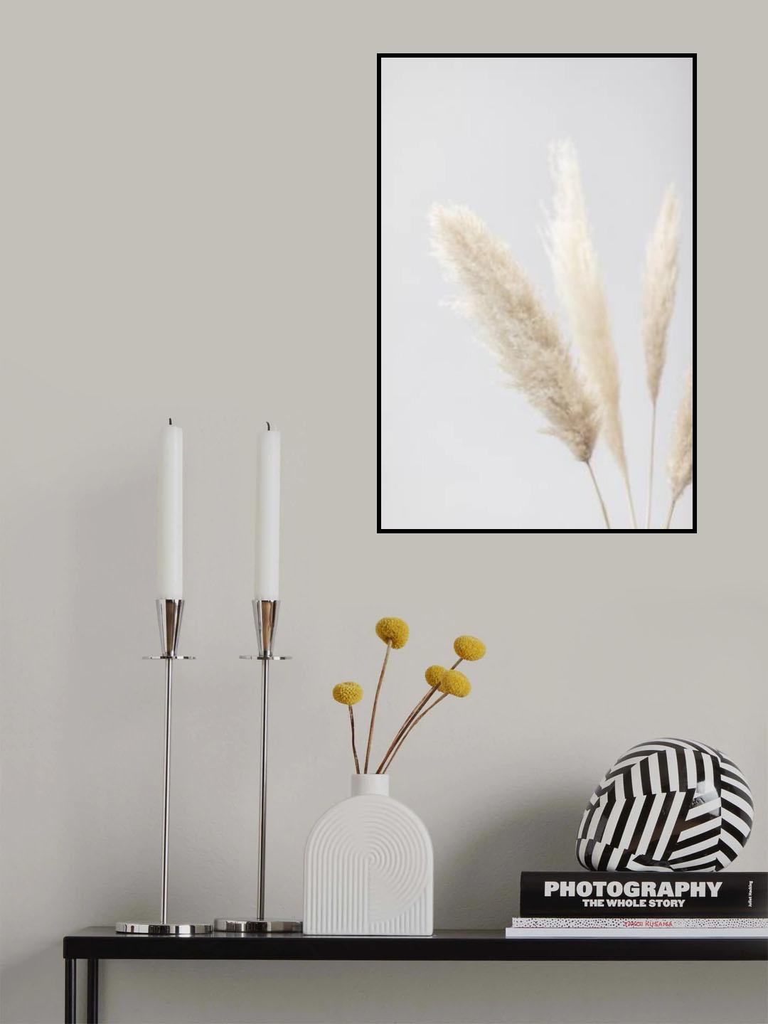 Pampas Grass Grey 08 Poster och Canvastavla