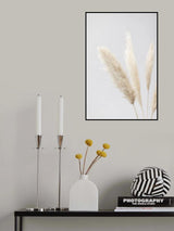 Pampas Grass Grey 08 Poster och Canvastavla