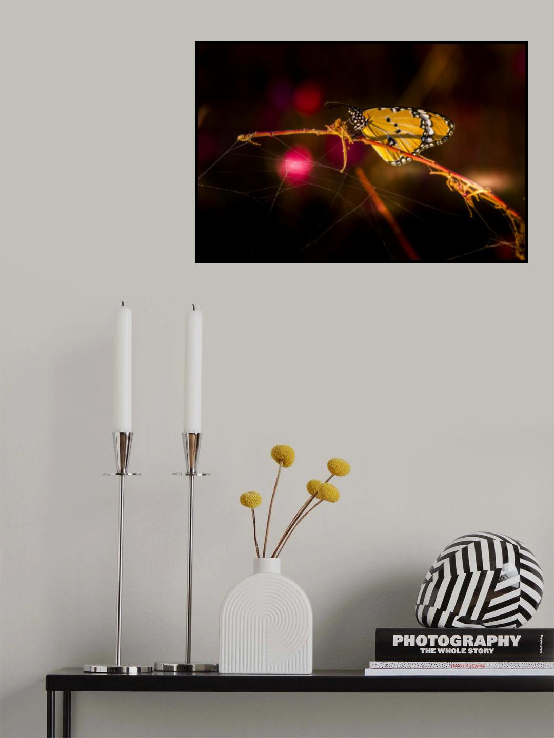 Butterfly Poster och Canvastavla