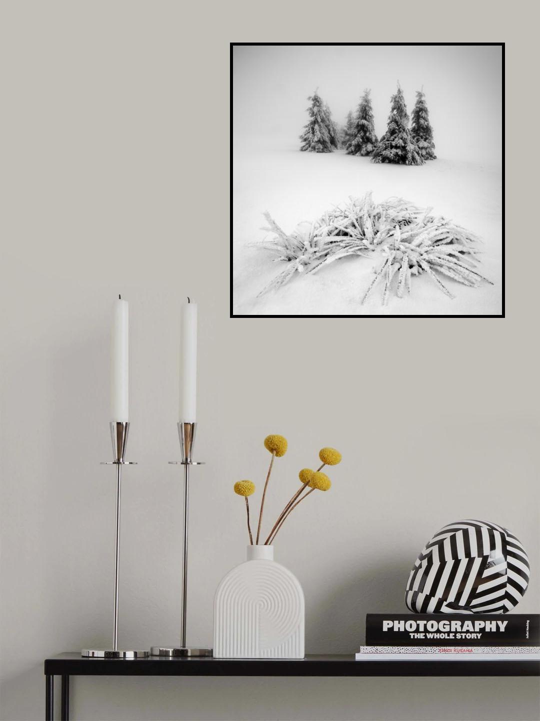 Winter scenery Poster och Canvastavla
