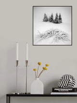 Winter scenery Poster och Canvastavla