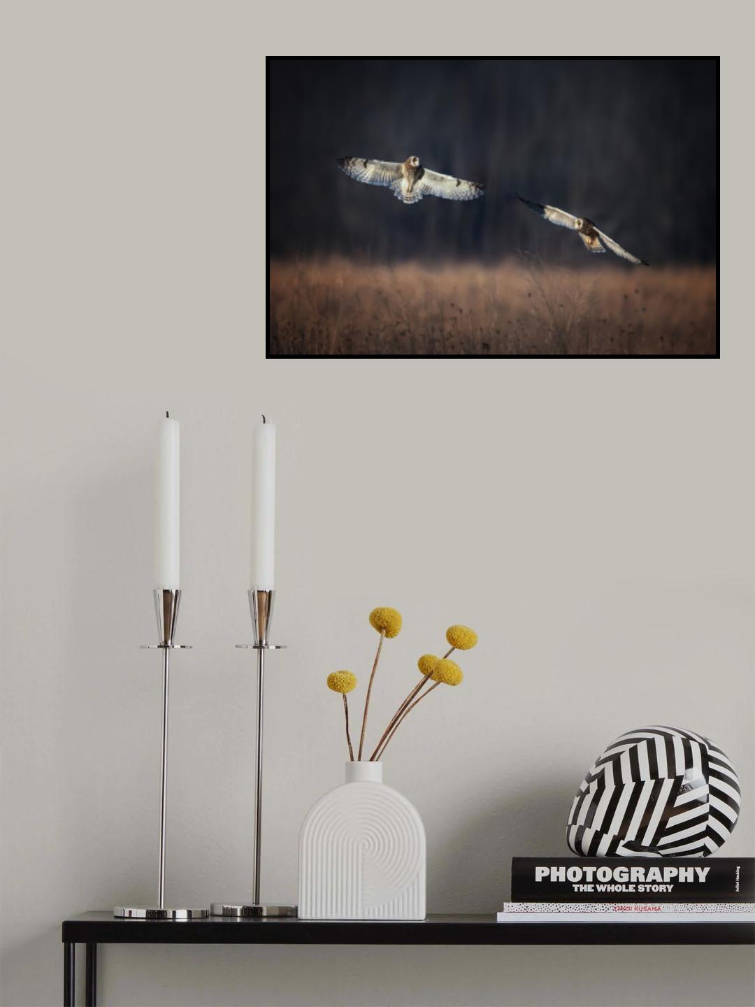 pas de deux Poster och Canvastavla