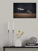 pas de deux Poster och Canvastavla