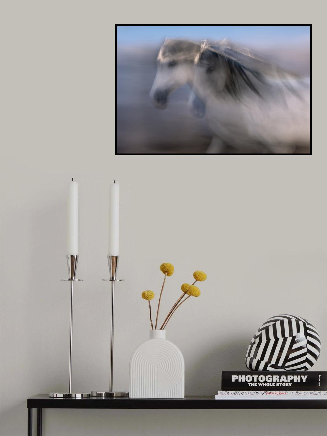 The Weather-colored horse Poster och Canvastavla