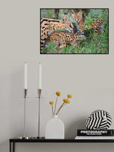 The family Poster och Canvastavla
