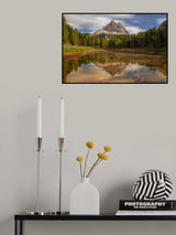Tree Cime! Poster och Canvastavla