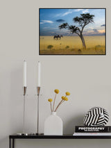 Nature’s Harmony Poster och Canvastavla