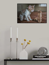 HeyPussicat Poster och Canvastavla